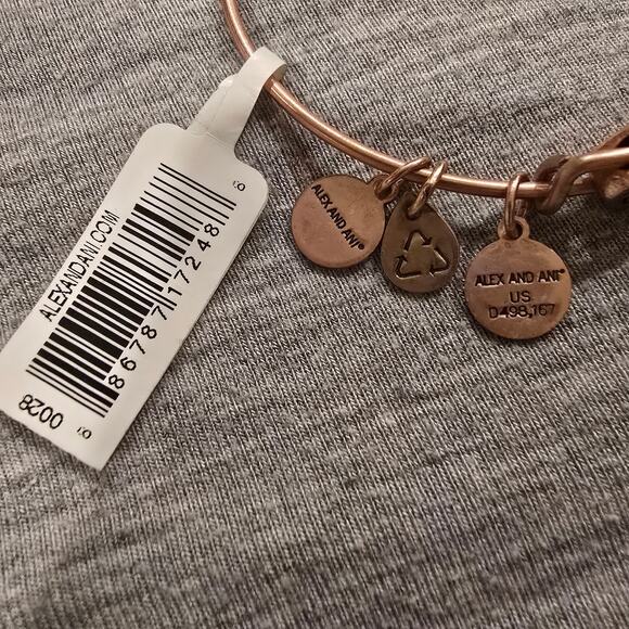 NEW NWT Alex and Ani Path of Life Slider Symbol Bead Charm Bangle Bracelet - Picture 3 of 6
